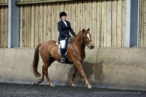 Isis Dressage Crown Farm Show 29th April 2012